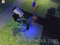 De Sims 2